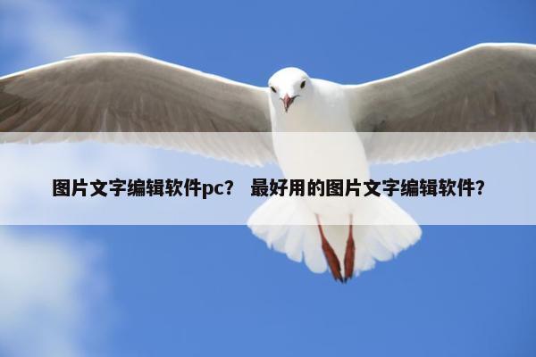 图片文字编辑软件pc？ 最好用的图片文字编辑软件？