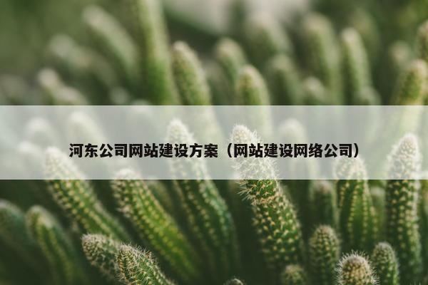 河东公司网站建设方案（网站建设网络公司）