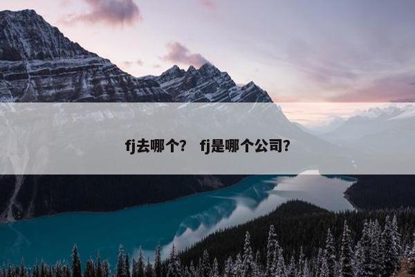 fj去哪个？ fj是哪个公司？