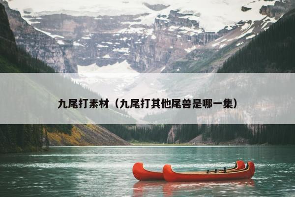 九尾打素材（九尾打其他尾兽是哪一集）