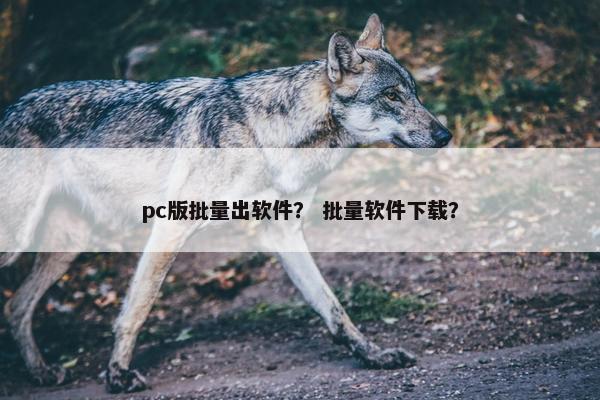 pc版批量出软件？ 批量软件下载？