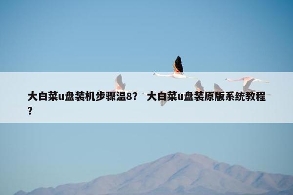 大白菜u盘装机步骤温8？ 大白菜u盘装原版系统教程？