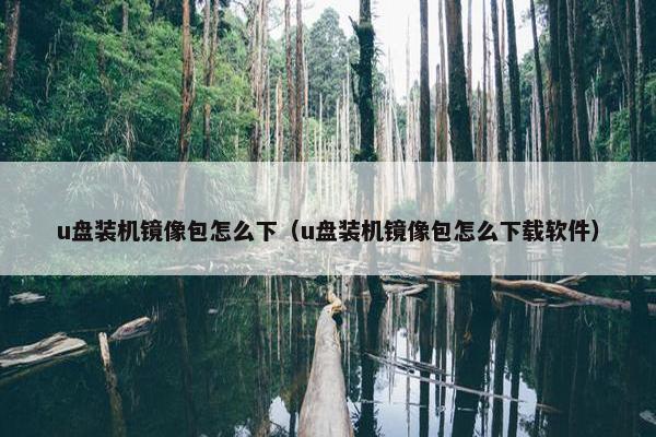 u盘装机镜像包怎么下（u盘装机镜像包怎么下载软件）