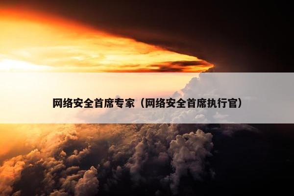网络安全首席专家（网络安全首席执行官）