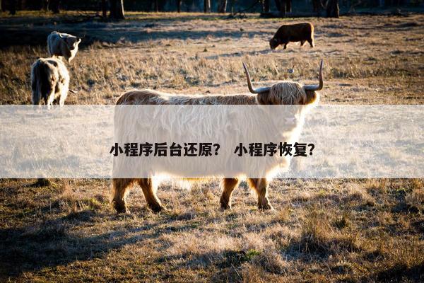 小程序后台还原？ 小程序恢复？