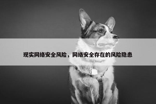 现实网络安全风险，网络安全存在的风险隐患