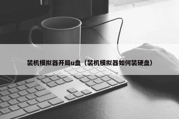 装机模拟器开局u盘（装机模拟器如何装硬盘）