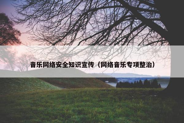 音乐网络安全知识宣传（网络音乐专项整治）
