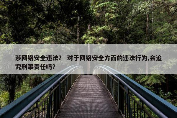 涉网络安全违法？ 对于网络安全方面的违法行为,会追究刑事责任吗？