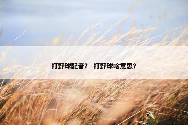 打野球配音？ 打野球啥意思？