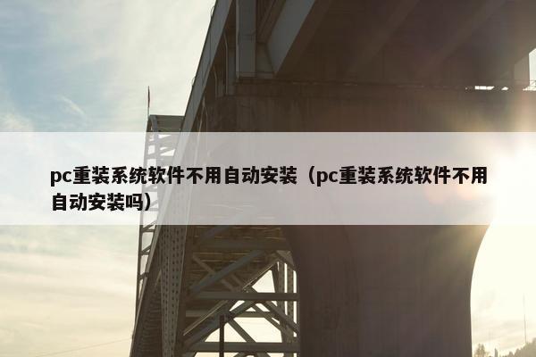 pc重装系统软件不用自动安装（pc重装系统软件不用自动安装吗）