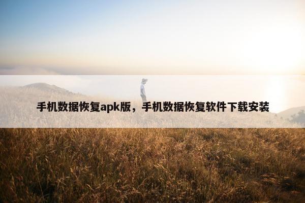 手机数据恢复apk版，手机数据恢复软件下载安装