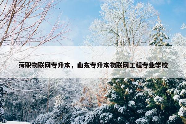 菏职物联网专升本，山东专升本物联网工程专业学校