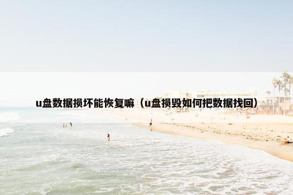u盘数据损坏能恢复嘛（u盘损毁如何把数据找回）