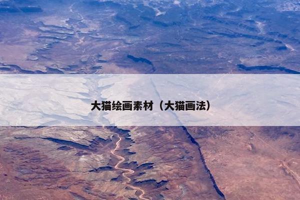 大猫绘画素材（大猫画法）