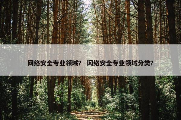 网络安全专业领域？ 网络安全专业领域分类？