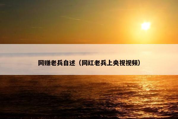 网赚老兵自述（网红老兵上央视视频）