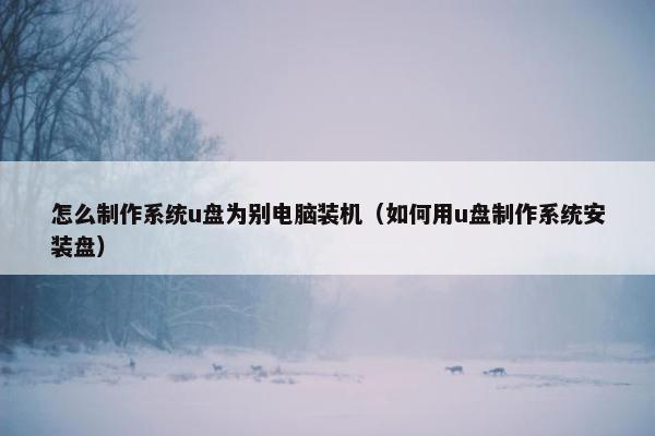 怎么制作系统u盘为别电脑装机（如何用u盘制作系统安装盘）