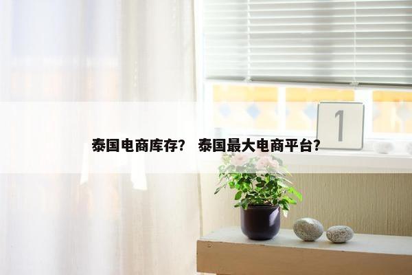 泰国电商库存？ 泰国最大电商平台？