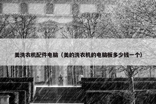 美洗衣机配件电脑（美的洗衣机的电脑板多少钱一个）