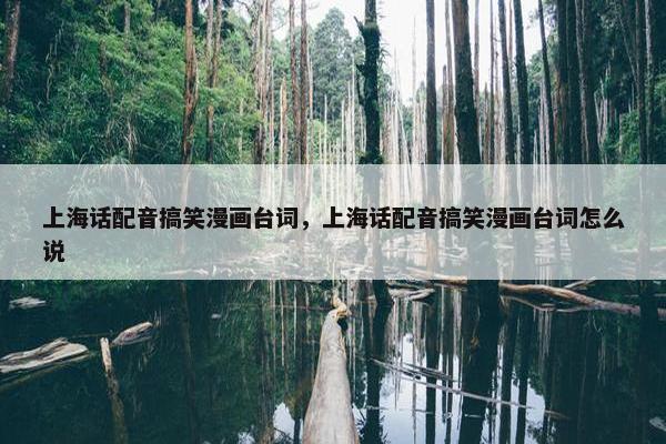 上海话配音搞笑漫画台词，上海话配音搞笑漫画台词怎么说