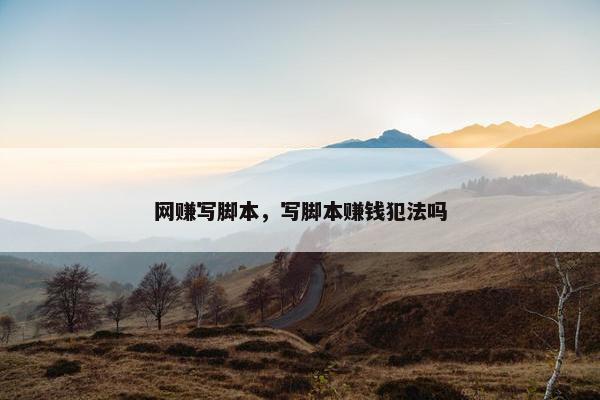 网赚写脚本，写脚本赚钱犯法吗