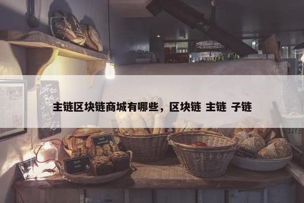 主链区块链商城有哪些，区块链 主链 子链