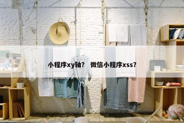 小程序xy轴？ 微信小程序xss？