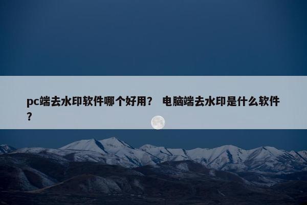 pc端去水印软件哪个好用？ 电脑端去水印是什么软件？