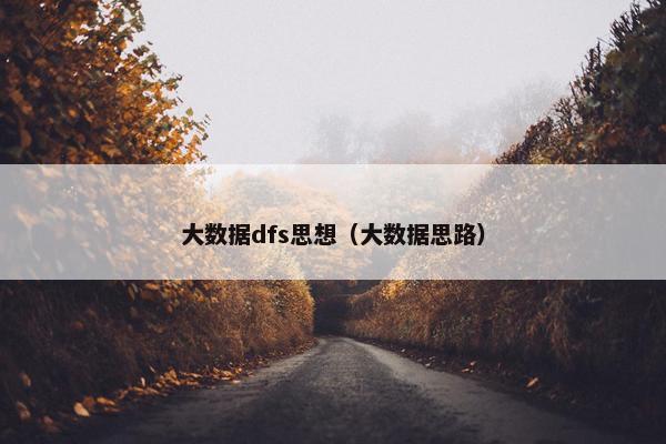 大数据dfs思想（大数据思路）