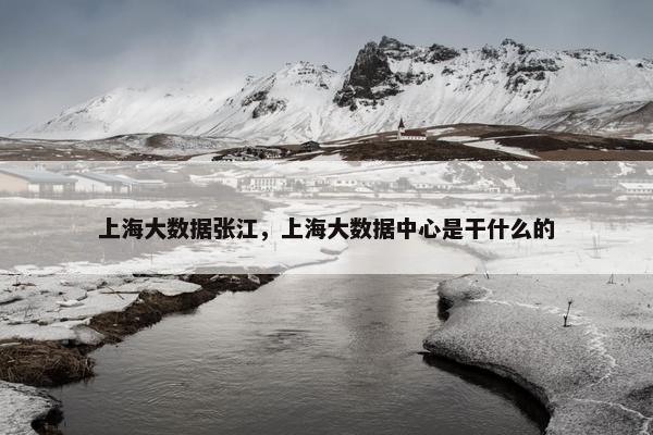 上海大数据张江，上海大数据中心是干什么的