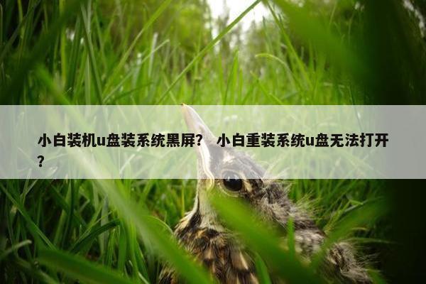 小白装机u盘装系统黑屏？ 小白重装系统u盘无法打开？