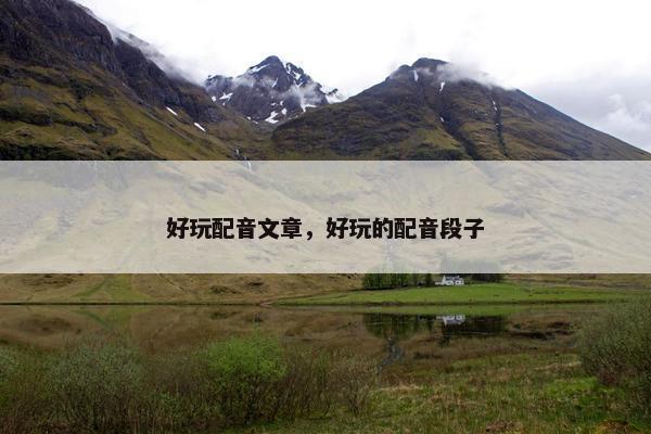 好玩配音文章，好玩的配音段子