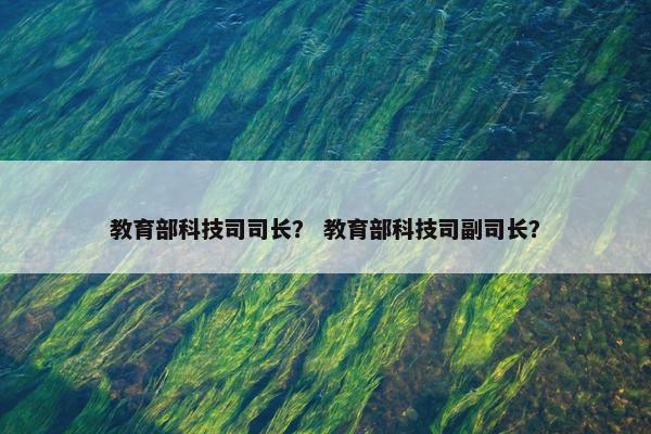 教育部科技司司长？ 教育部科技司副司长？
