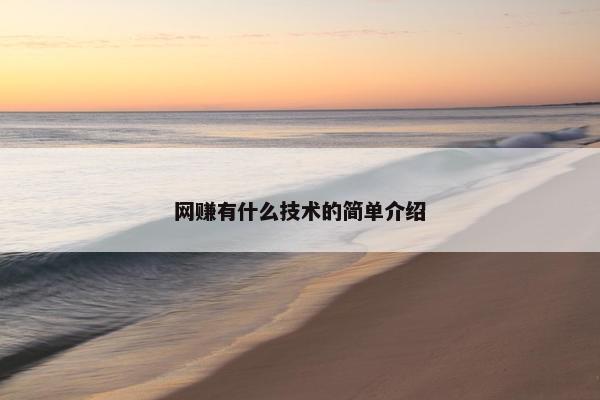 网赚有什么技术的简单介绍