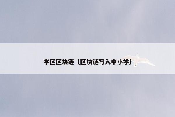 学区区块链（区块链写入中小学）