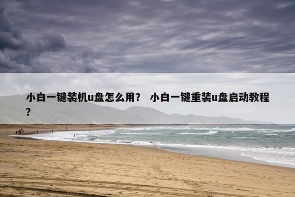 小白一键装机u盘怎么用？ 小白一键重装u盘启动教程？