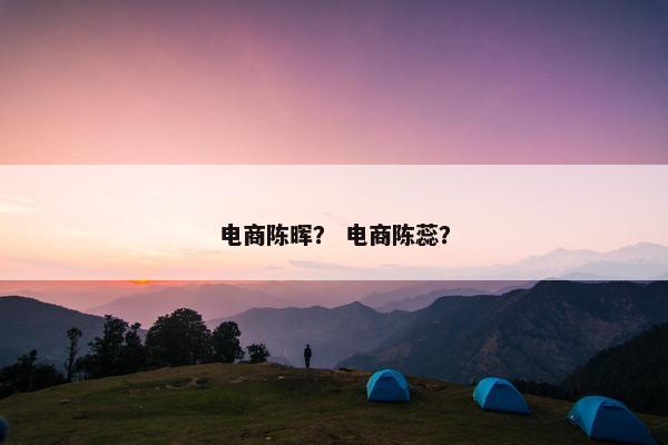 电商陈晖？ 电商陈蕊？