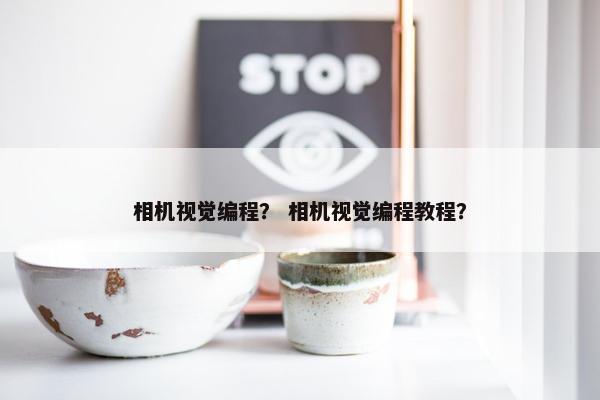 相机视觉编程？ 相机视觉编程教程？