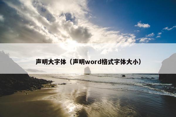 声明大字体（声明word格式字体大小）