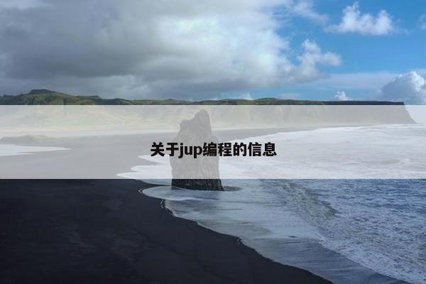 关于jup编程的信息