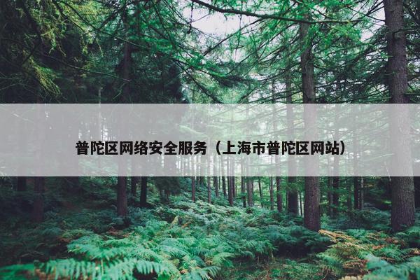 普陀区网络安全服务（上海市普陀区网站）