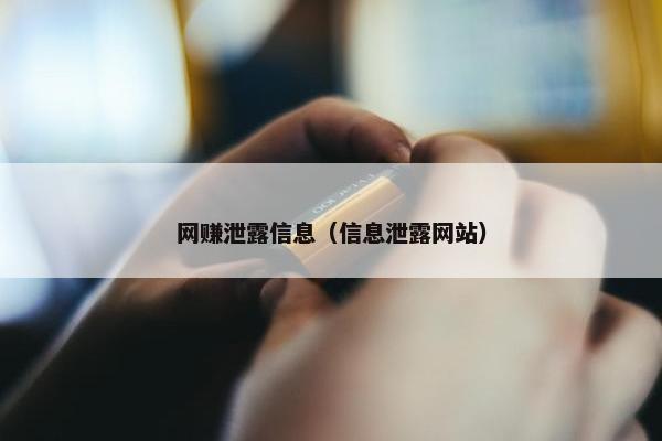 网赚泄露信息（信息泄露网站）