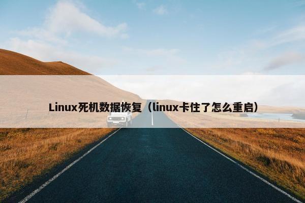 Linux死机数据恢复（linux卡住了怎么重启）