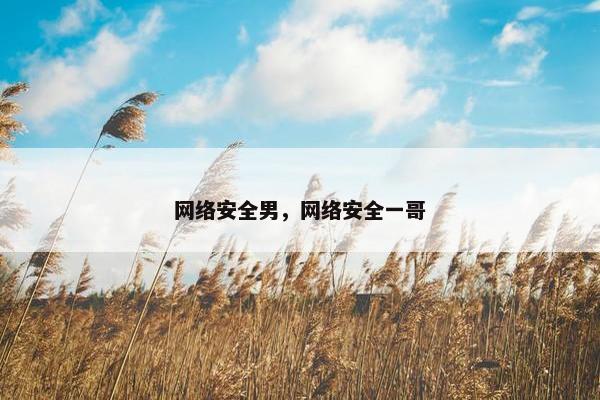 网络安全男，网络安全一哥