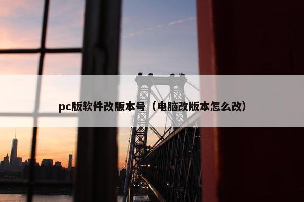 pc版软件改版本号（电脑改版本怎么改）