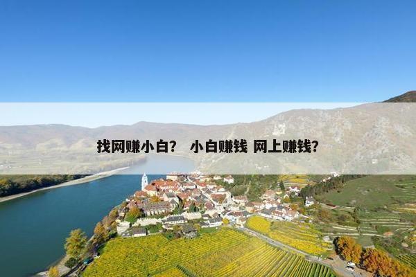 找网赚小白？ 小白赚钱 网上赚钱？