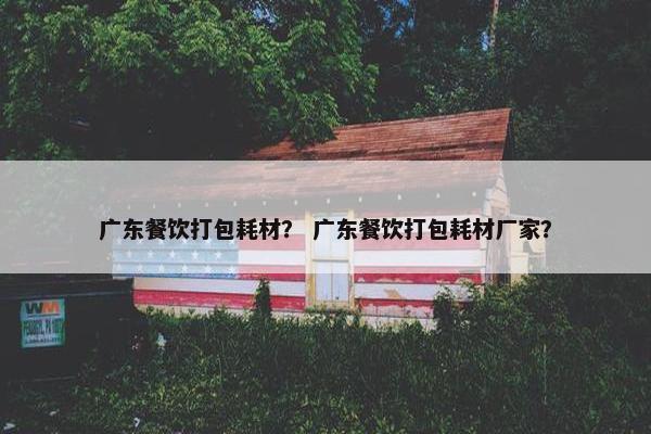 广东餐饮打包耗材？ 广东餐饮打包耗材厂家？