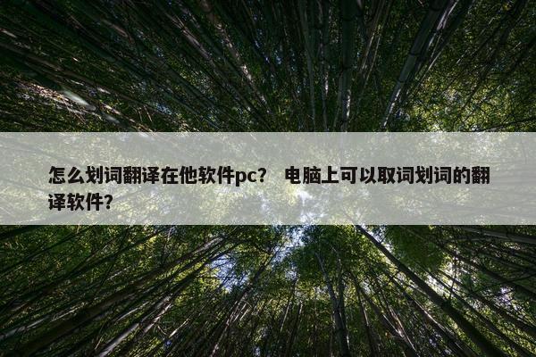 怎么划词翻译在他软件pc？ 电脑上可以取词划词的翻译软件？