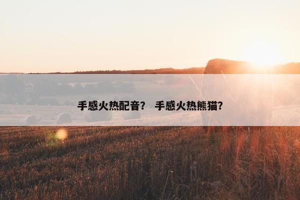 手感火热配音？ 手感火热熊猫？